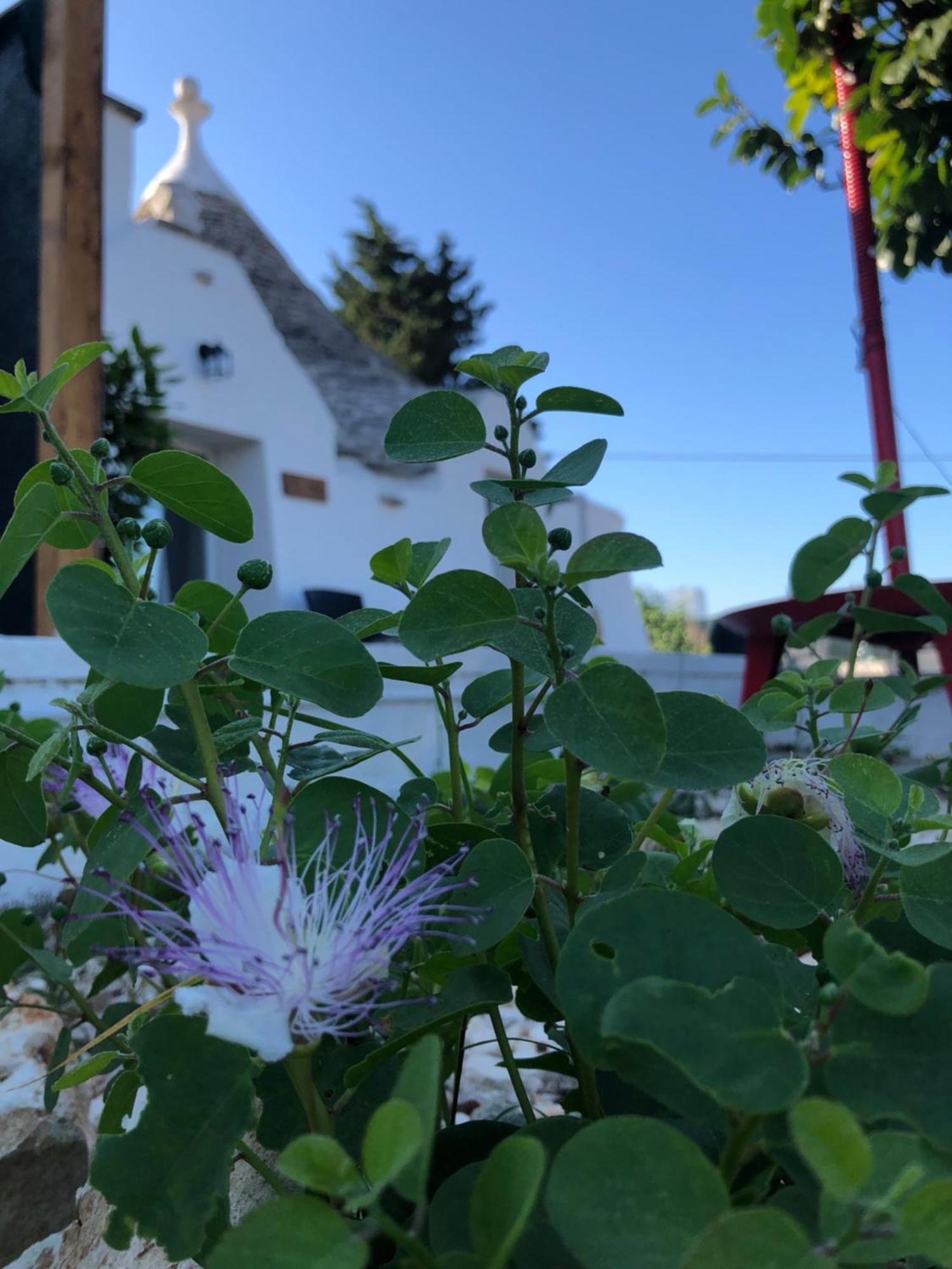 Trullo Trilli Puglia Villa Martina Franca Bagian luar foto