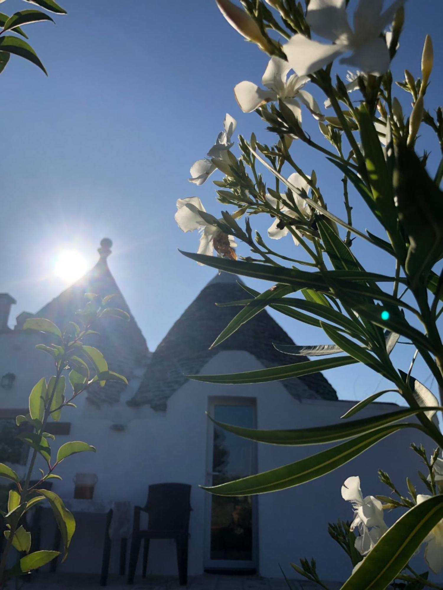 Trullo Trilli Puglia Villa Martina Franca Bagian luar foto