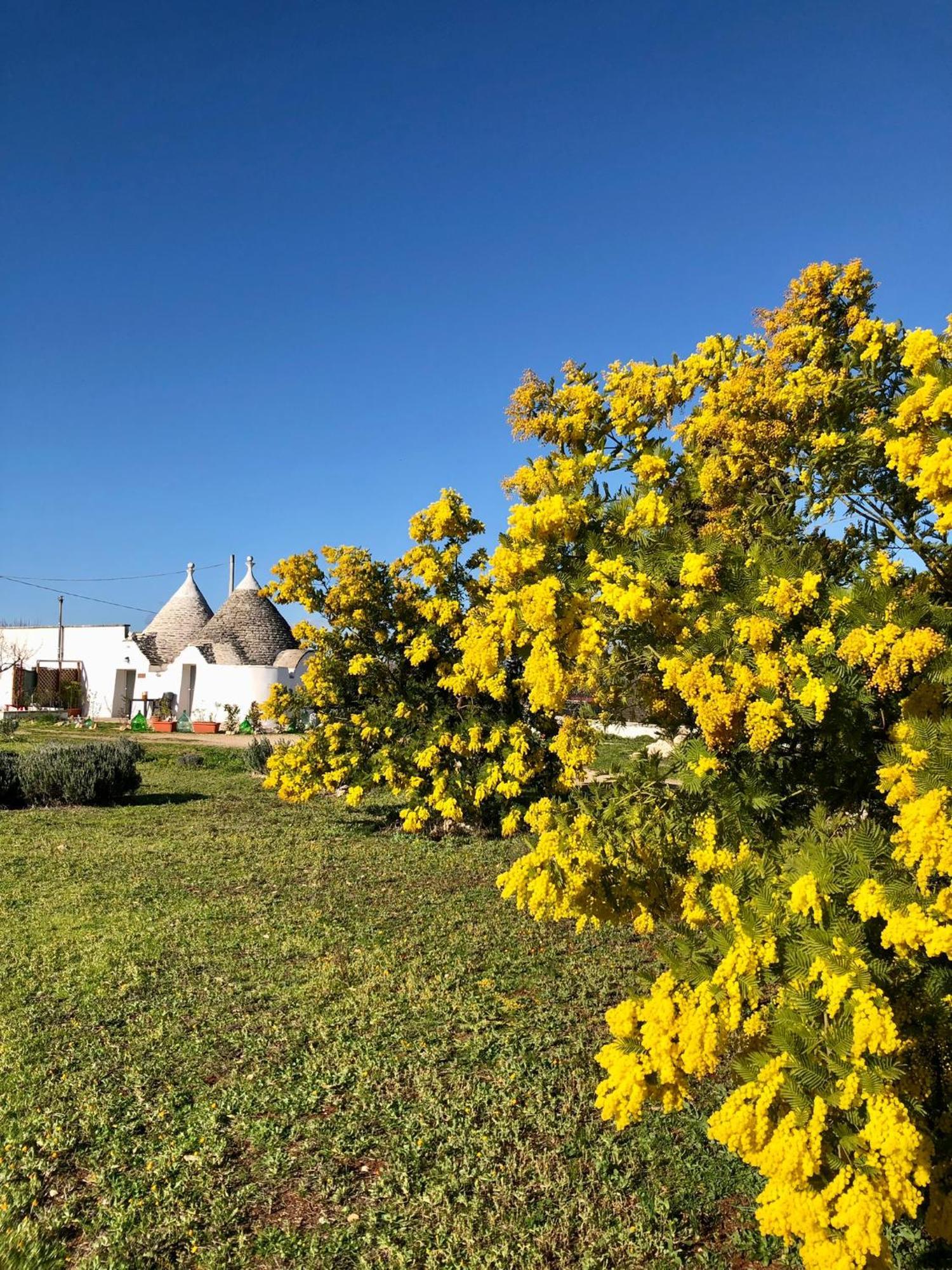 Trullo Trilli Puglia Villa Martina Franca Bagian luar foto
